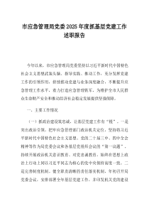 市应急管理局党委2025年度抓基层党建工作述职报告(优选)
