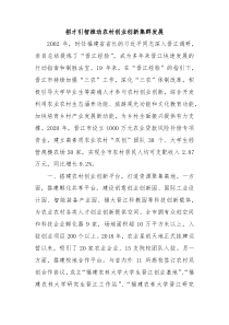 乡村振兴经验材料招才引智推动农村创业创新集群发展