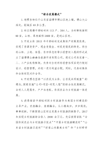 乡村振兴经验材料综合发展模式