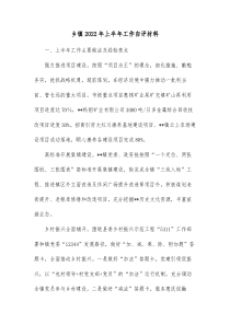 乡镇20XX年上半年工作自评材料