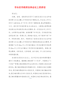 市长在市政府全体会议上的讲话