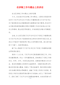 在涉粮工作专题会上的讲话