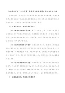 公司特色党建三个注重扛起助力经济发展责任担当交流汇报