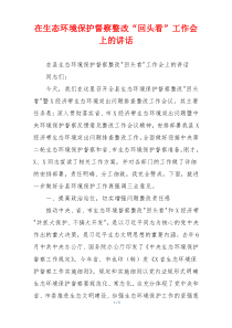 在生态环境保护督察整改“回头看”工作会上的讲话