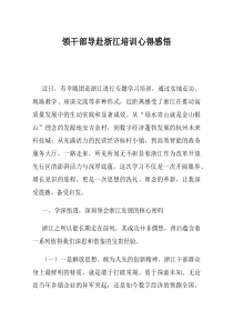 领干部导赴浙江培训心得感悟(优选)