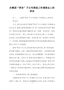 在集团“两非”子公司清退工作调度会上的讲话