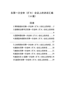 10篇在第一次全体扩大会议上的讲话汇编