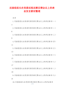 巡查组组长在党委巡视巡察反馈会议上的表态发言素材整理