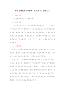 党建品牌创建工作材料阳光审计发展卫士