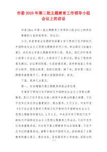 市委2025年第二批主题教育工作领导小组会议上的讲话