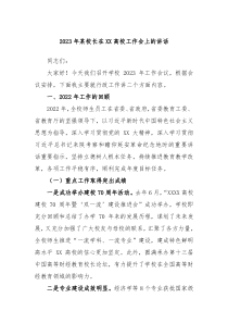 20XX年某校长在XX高校工作会上的讲话