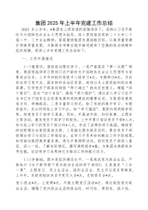 (参考)2025年上半年党建工作总结（集团公司）