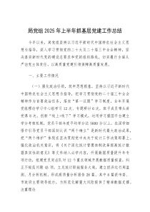 (参考)2025年上半年抓基层党建工作总结（局党组）