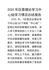 (参考)2025年理论学习中心组学习情况总结报告（区委）