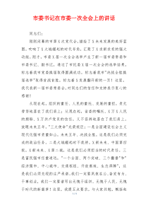 市委书记在市委一次全会上的讲话