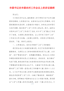 市委书记在市委农村工作会议上的讲话提纲