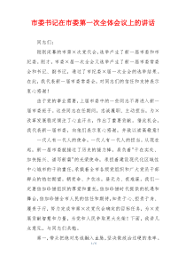 市委书记在市委第一次全体会议上的讲话