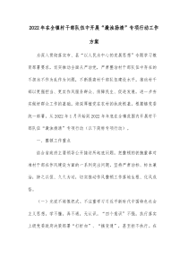 20XX年在全镇村干部队伍中开展激浊扬清专项行动工作方案