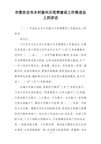 市委在全市乡村振兴示范带建设工作推进会上的讲话