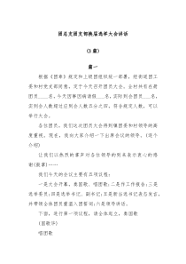 3篇团总支团支部换届选举大会领导讲话