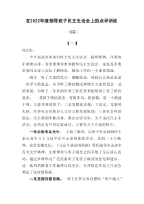 3篇在20XX年度领导班子民主生活会上的点评讲话