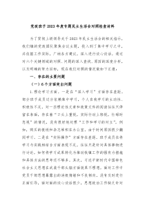 党政班子20XX年度专题民主生活会对照检查材料