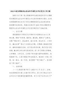 20XX年度专题组织生活会和开展民主评议党员工作方案