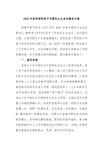 20XX年度局领导班子专题民主生活会整改方案