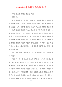 市长在全市农村工作会议讲话