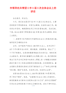 市领导在共青团X市X届X次全体会议上的讲话