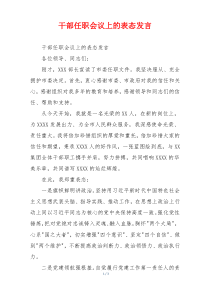 干部任职会议上的表态发言