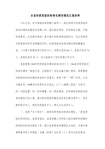 全县村级党组织标准化建设情况汇报材料