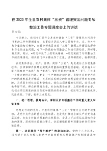 (参考)在2025年全县农村集体“三资”管理突出问题专项整治工作专题调度会上的讲话