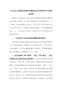 公司20XX年度基层党组织专题组织生活会领导班子对照检查材料