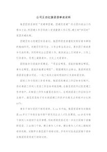 公司五四红旗团委事迹材料