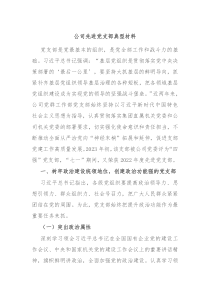 公司先进党支部典型材料