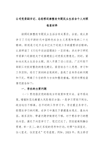 公司党委副书记总经理巡察整改专题民主生活会个人对照检查材料