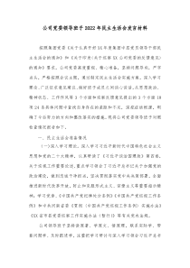 公司党委领导班子20XX年民主生活会发言材料