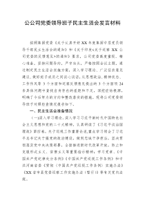 公司党委领导班子民主生活会发言材料 (72)