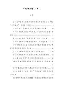 33篇20XX年工作方案汇编