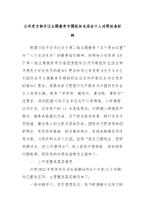 公司党支部书记主题教育专题组织生活会个人对照检查材料