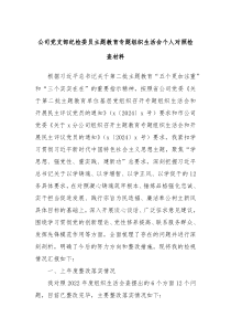 公司党支部纪检委员主题教育专题组织生活会个人对照检查材料