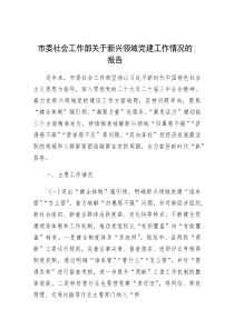 (参考)新兴领域党建工作情况报告（市委社会工作部）