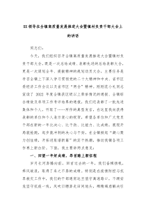XX领导在全镇高质量发展推进大会暨镇村负责干部大会上的讲话