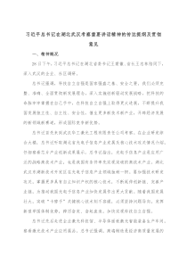 习近平总书记在湖北武汉考察重要讲话精神的传达提纲及贯彻意见