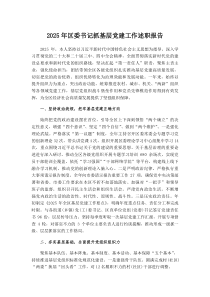 2025年区委书记抓基层党建工作述职报告