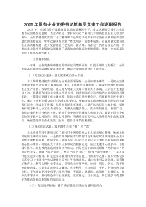 2025年国有企业党委书记抓基层党建工作述职报告