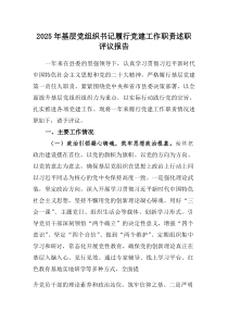 2025年基层党组织书记履行党建工作职责述职评议报告