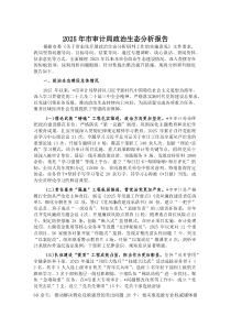 2025年市审计局政治生态分析报告