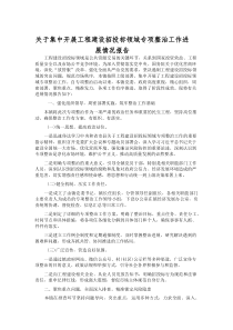 关于集中开展工程建设招投标领域专项整治工作进展情况报告